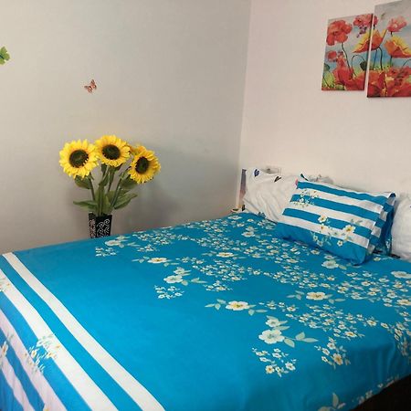 Cosy Hideaway Διαμέρισμα Μπρασόβ Εξωτερικό φωτογραφία
