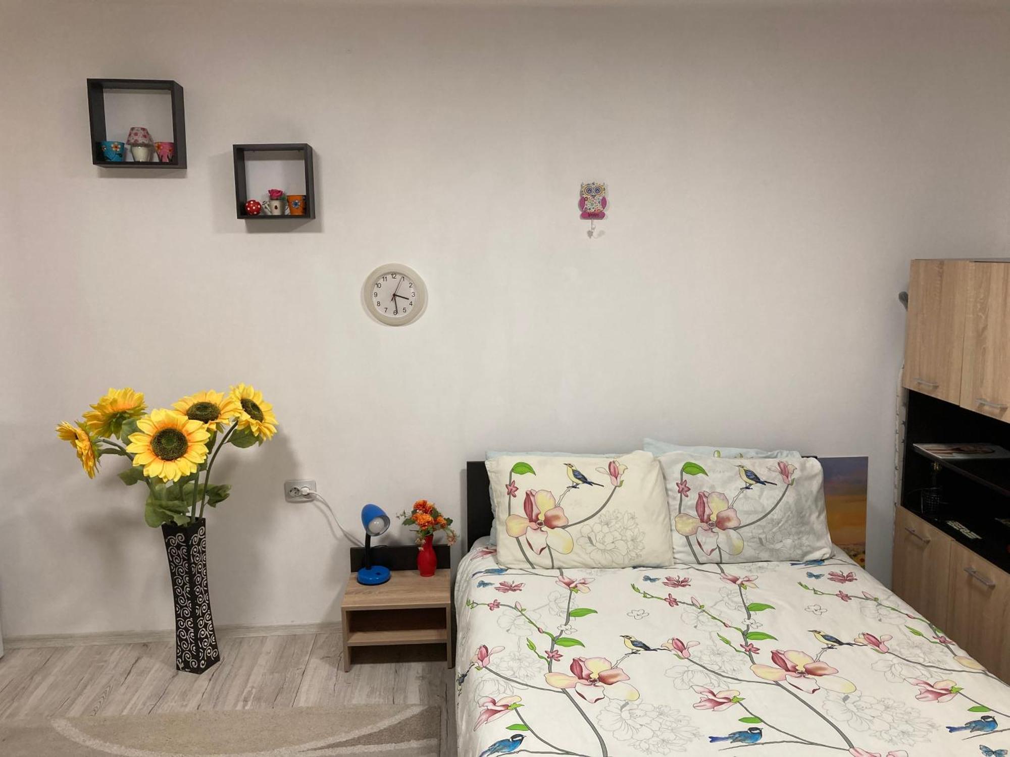 Cosy Hideaway Διαμέρισμα Μπρασόβ Εξωτερικό φωτογραφία