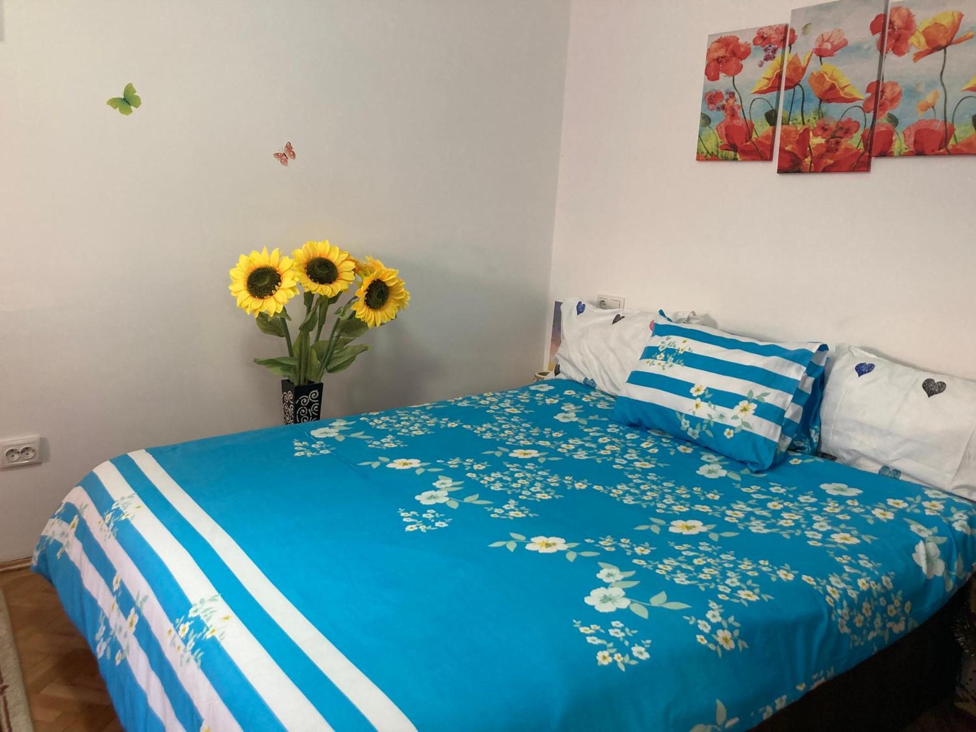 Cosy Hideaway Διαμέρισμα Μπρασόβ Εξωτερικό φωτογραφία